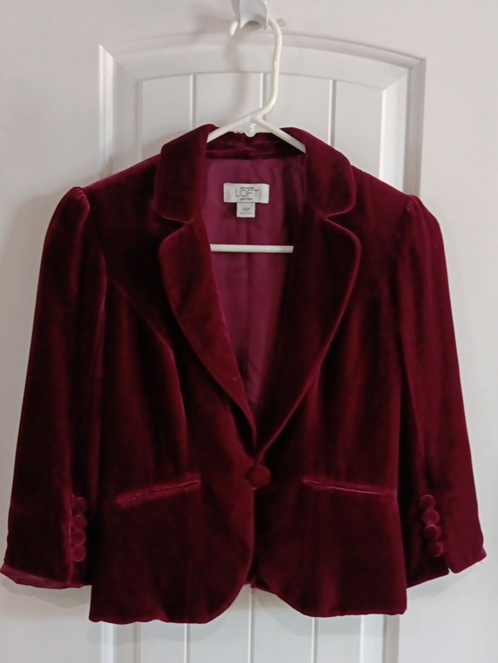 LOFT Velvet Blazer Jacket in Burgundy
